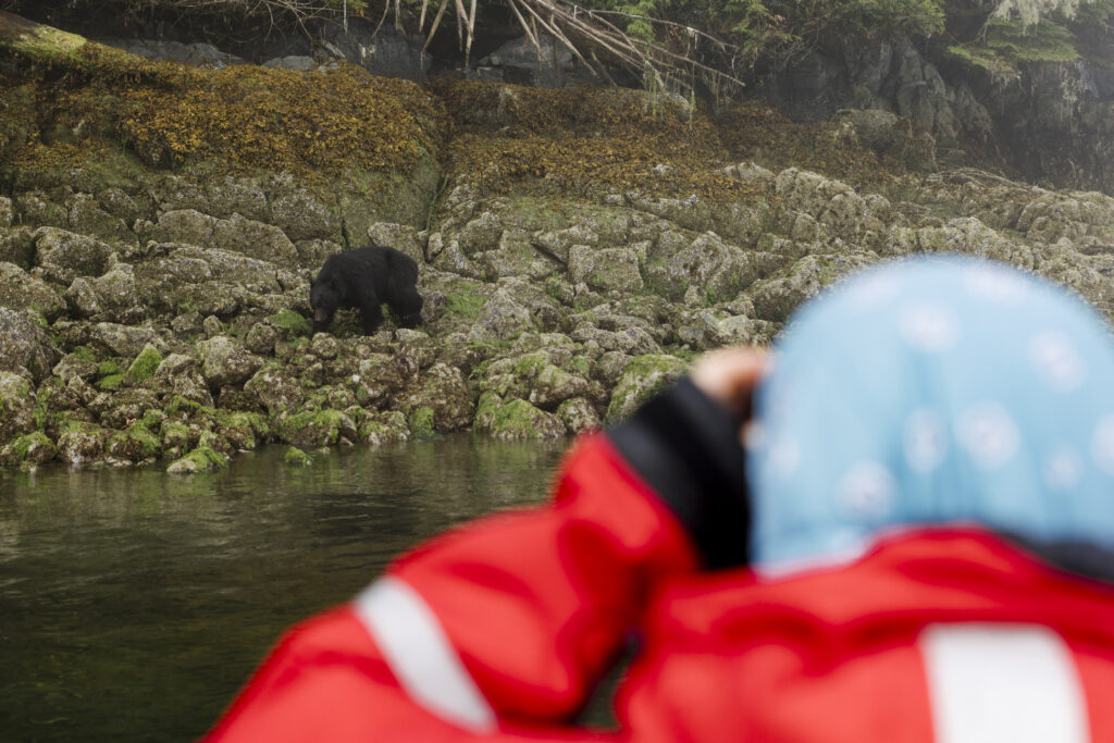 Clayoquotmarine-Bears-7